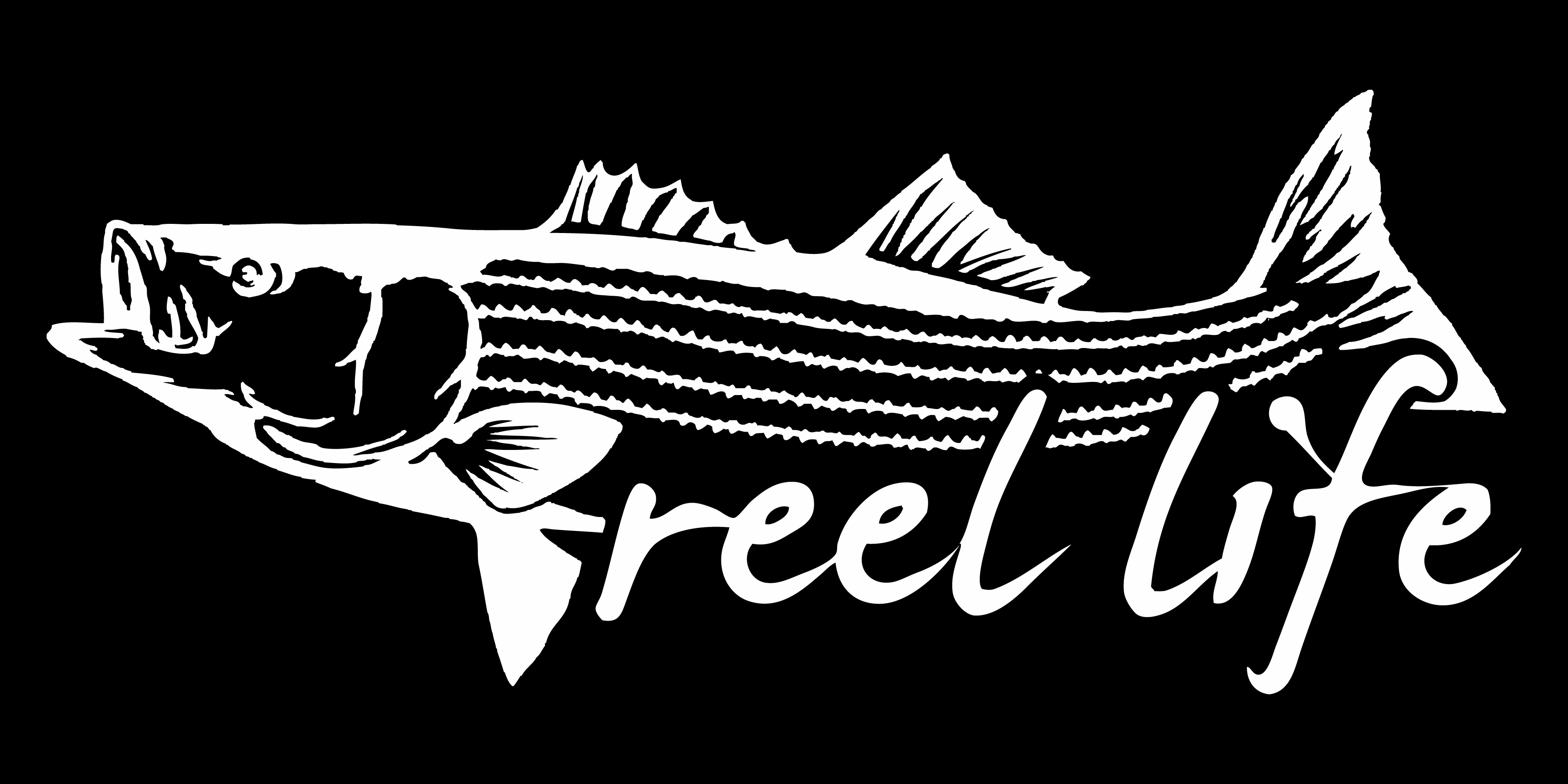 Striped Bass Decal - 11 inch